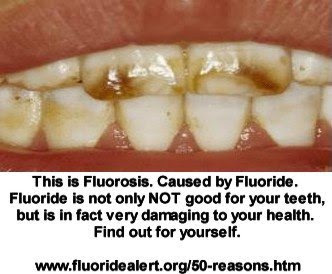 www.fluoridealert.org