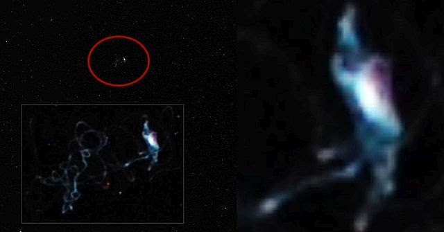 Living Space Tentacle Creature Caught On Camera