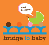 Bridge to baby