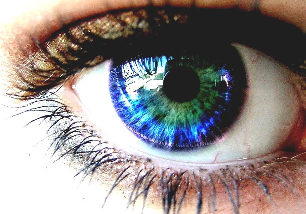 Eye Color Human Eye Color