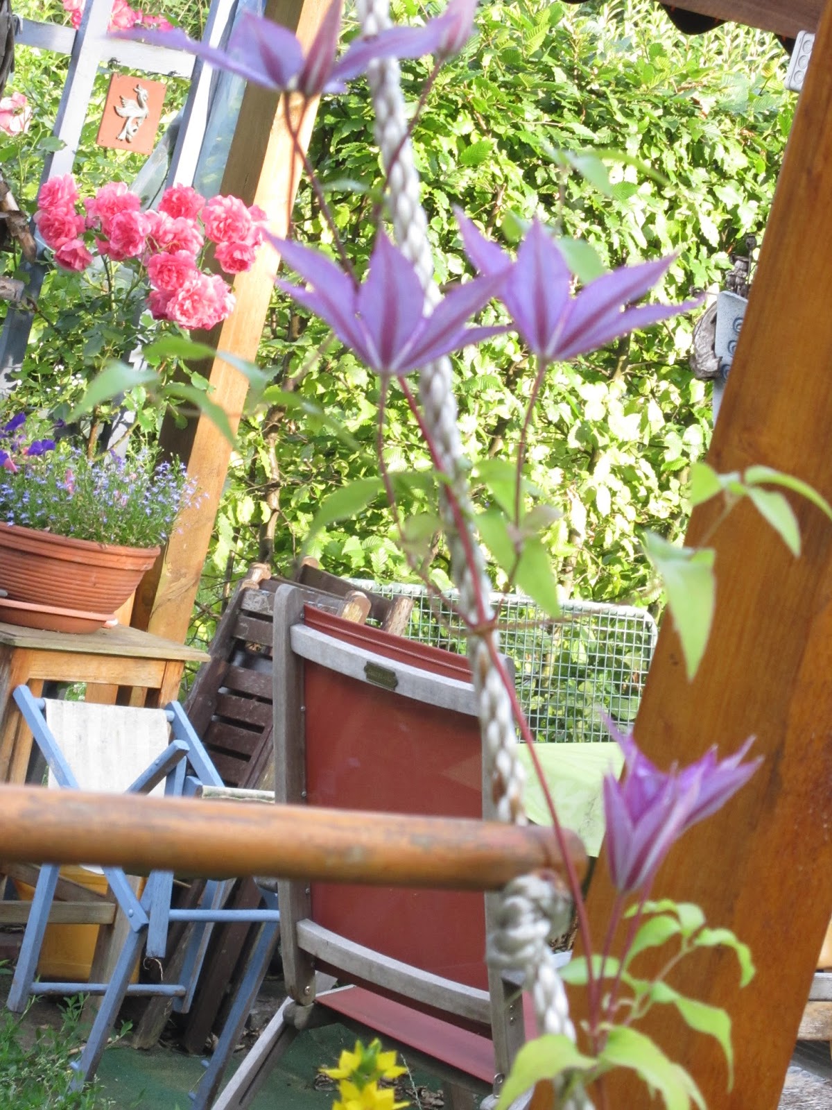 Garten Eins