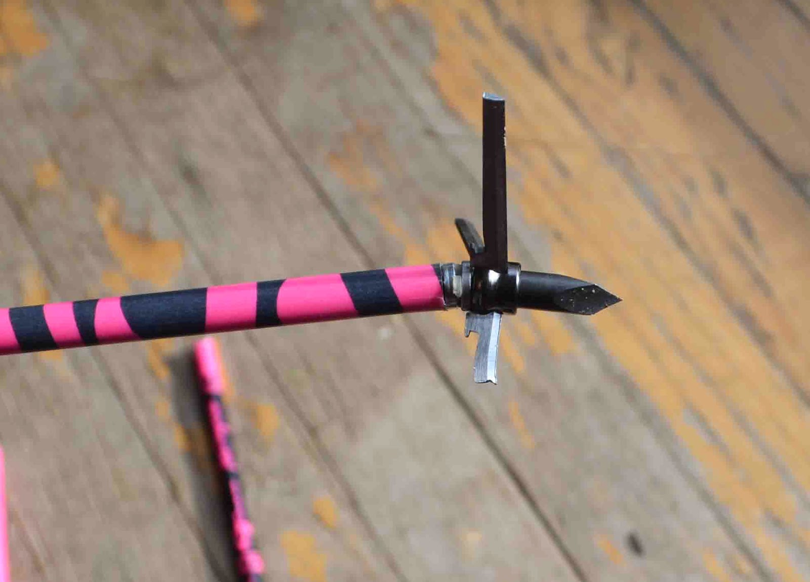 The Middle Feather Adventures in Bow Hunting for Turkeys Day 2 and