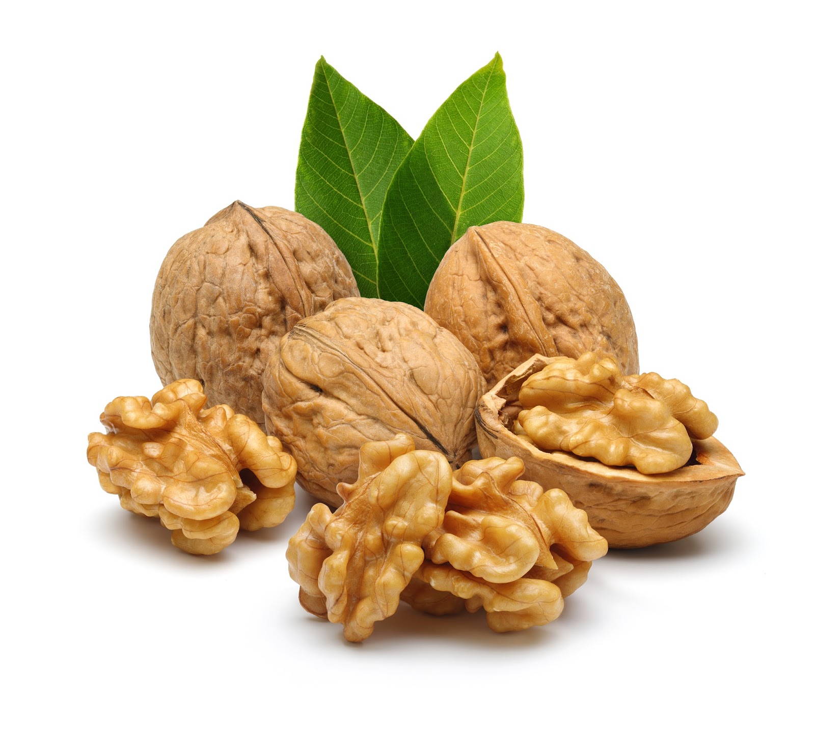 Physical Therapy Walnuts Excellent Brain Food