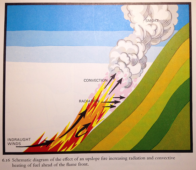 Bushfire fact, fiction and other information relevant to living with
