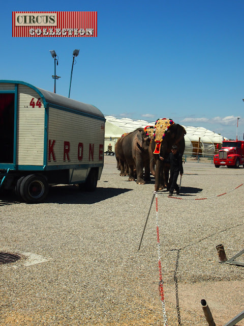les éléphants en ligne se tenant par la queue arrivent au chapiteau du circus Krone 