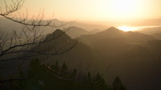 Warta warga sulbar: ucapan selamat natal 2013 dan tahun baru 2014 Branch Report: Poland and Ukraine - SMART