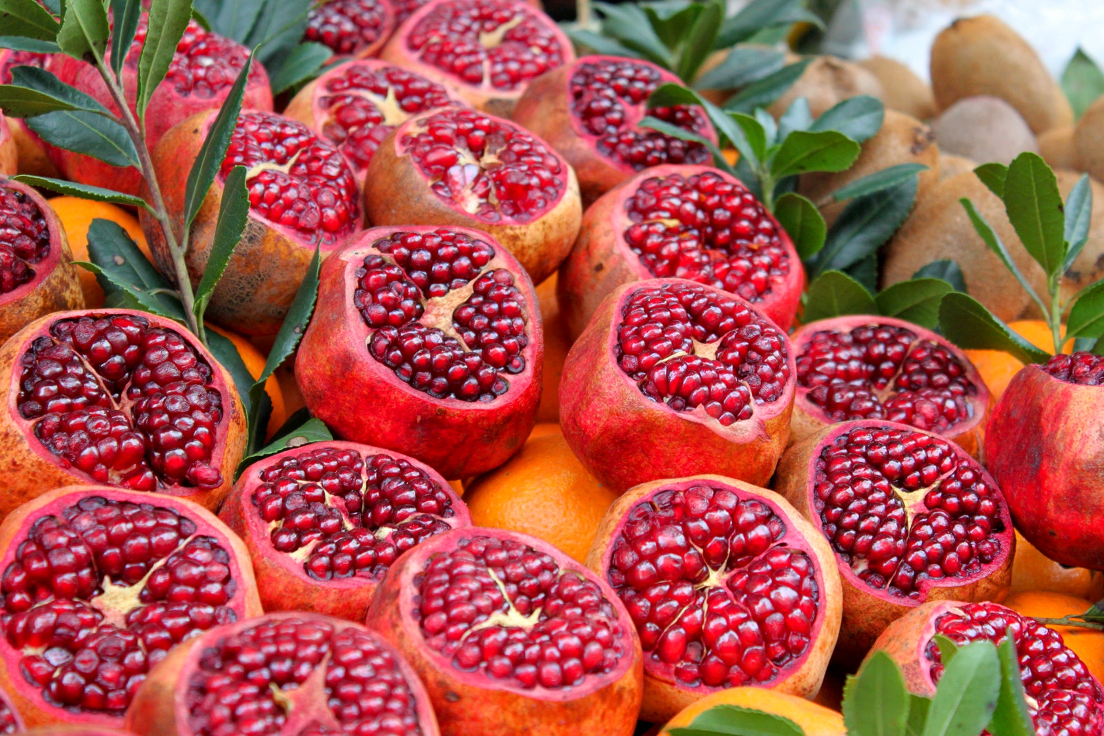Manfaat dan Khasiat Buah Delima bagi Kesehatan serta Kecantikan Manfaat dan Khasiat Buah Delima bagi Kesehatan serta Kecantikan