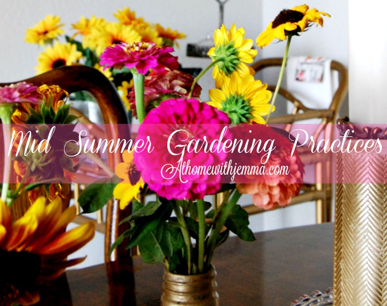 MidSummer Gardening Practices At Home with Jemma