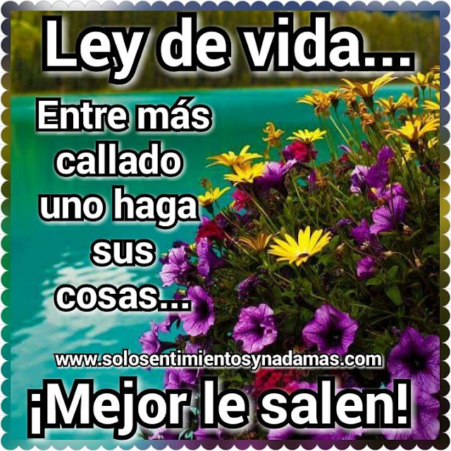 Frases de vida.