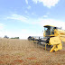Retomada dos grãos  - A colheita de soja no Estado já passou dos 77% da área plantada