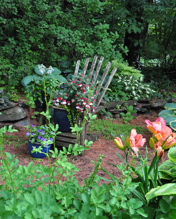 Three Dogs In A Garden Making The Most Of Shade Through Seasons Marnie Lives In The Countryside Not Far From Town Of Bracebridge Ontario Which Makes Her Garden Zone 4a Winter It Can Get Pretty Cold By Way