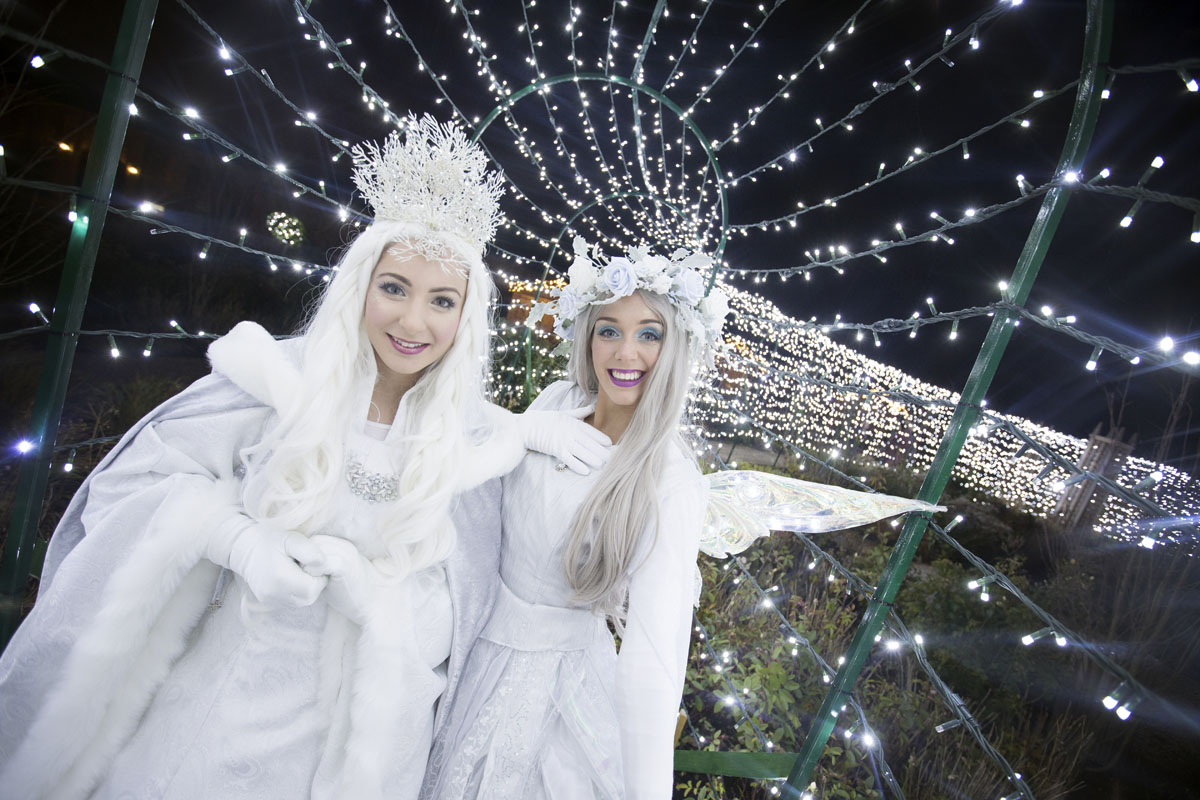Christmas at Wynyard Hall - A guide to what's on in December including Festive Afternoon Tea and a Winter Wonderland Christmas Light Show in the gardens.  - Ice Queen