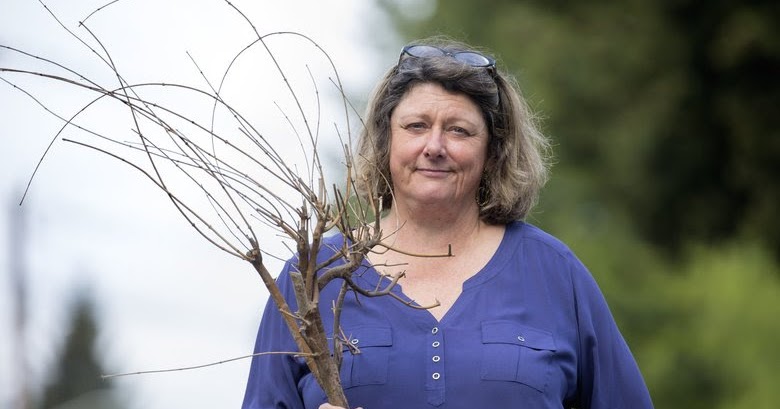 Services For Cass Turnbull Founder Of Plant Amnesty Mar 25 Shoreline Area News