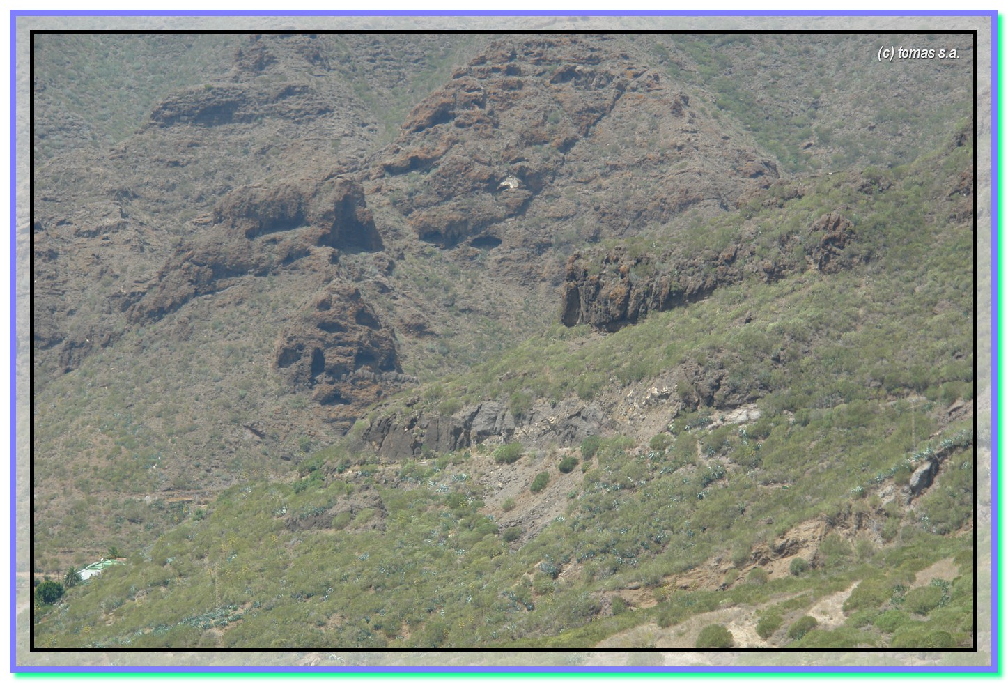 Tenerife senderos...... TENERIFE SENDEROS TENO LOS CARRIZALES
