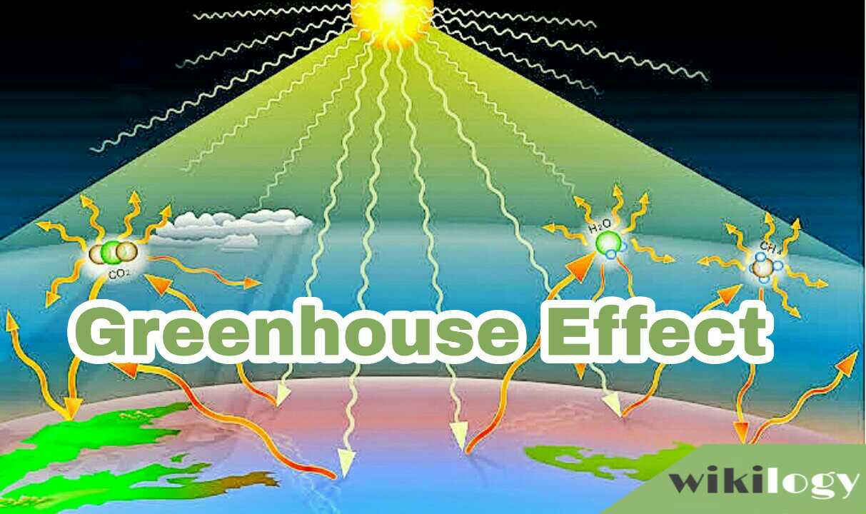 Paragraph on Greenhouse Effect- for all class students