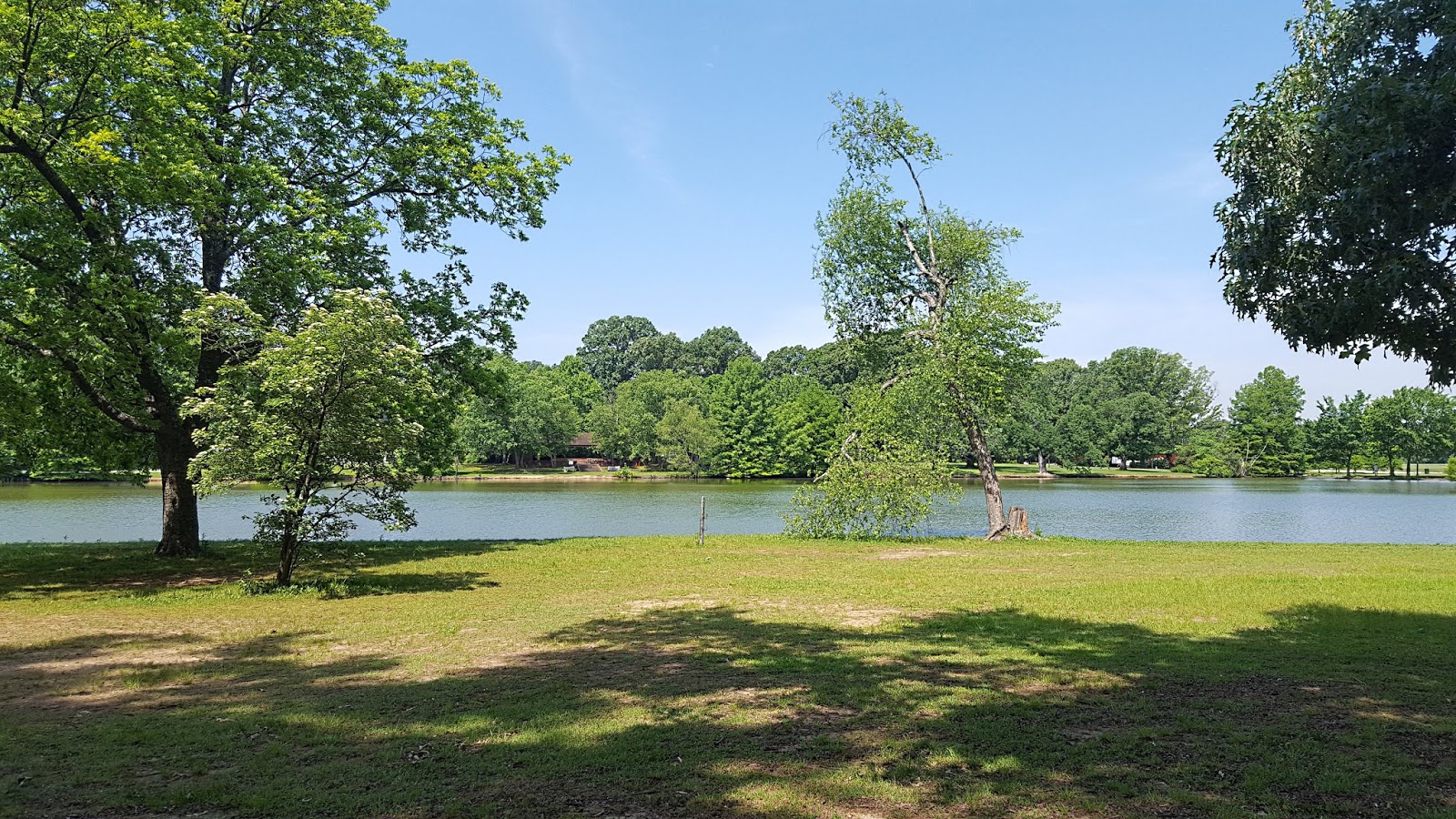 Divers and Sundry Audubon Park Lake and the Patio