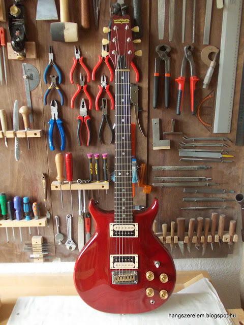 Washburn Raven