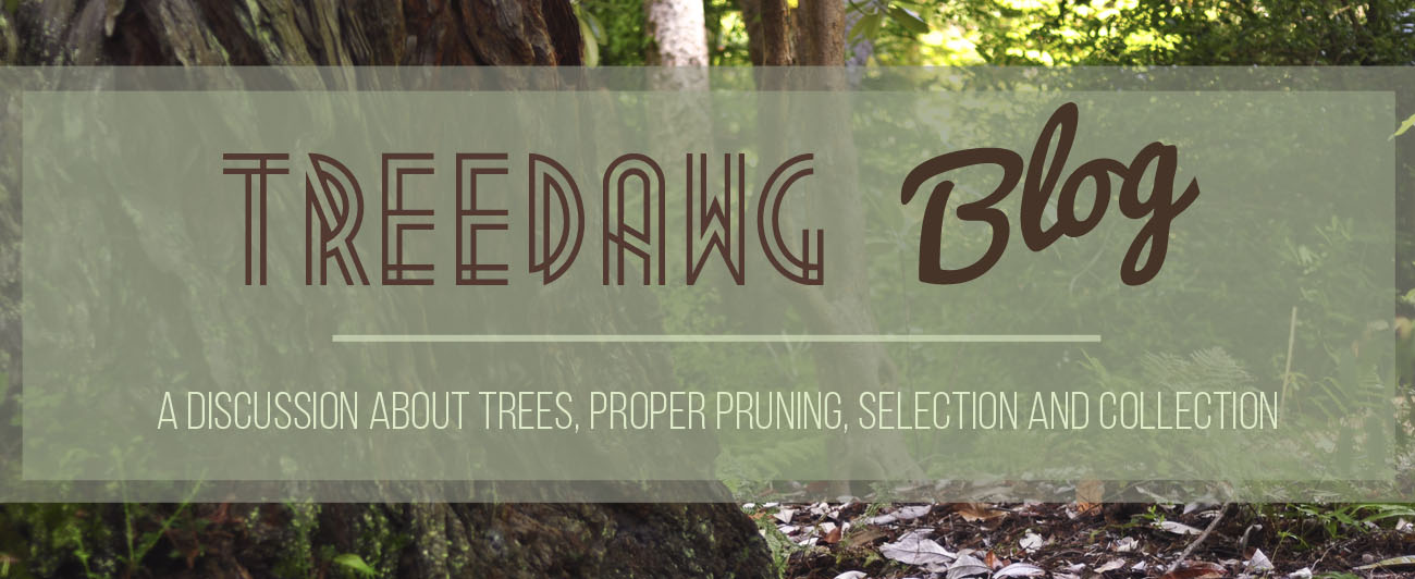 TreeDawg Blog