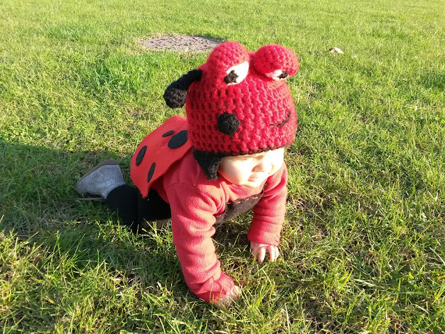 Joaninha Ladybird