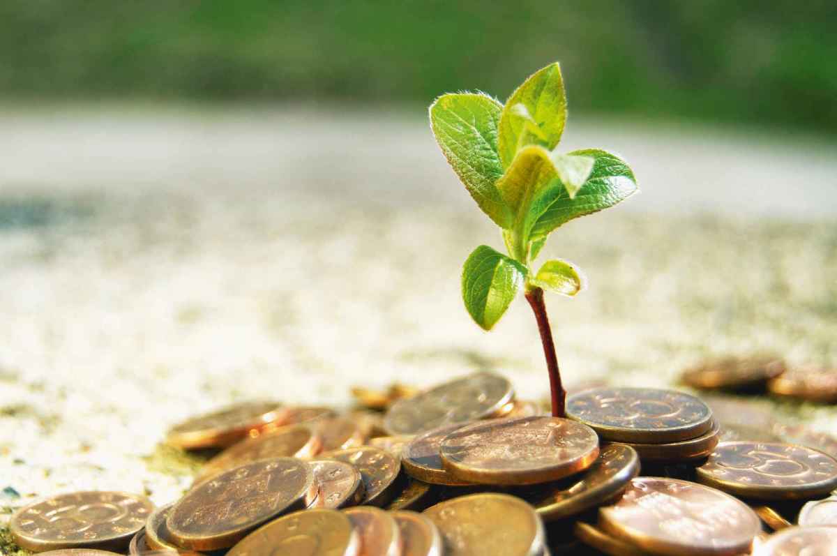 Zakat Zakat
