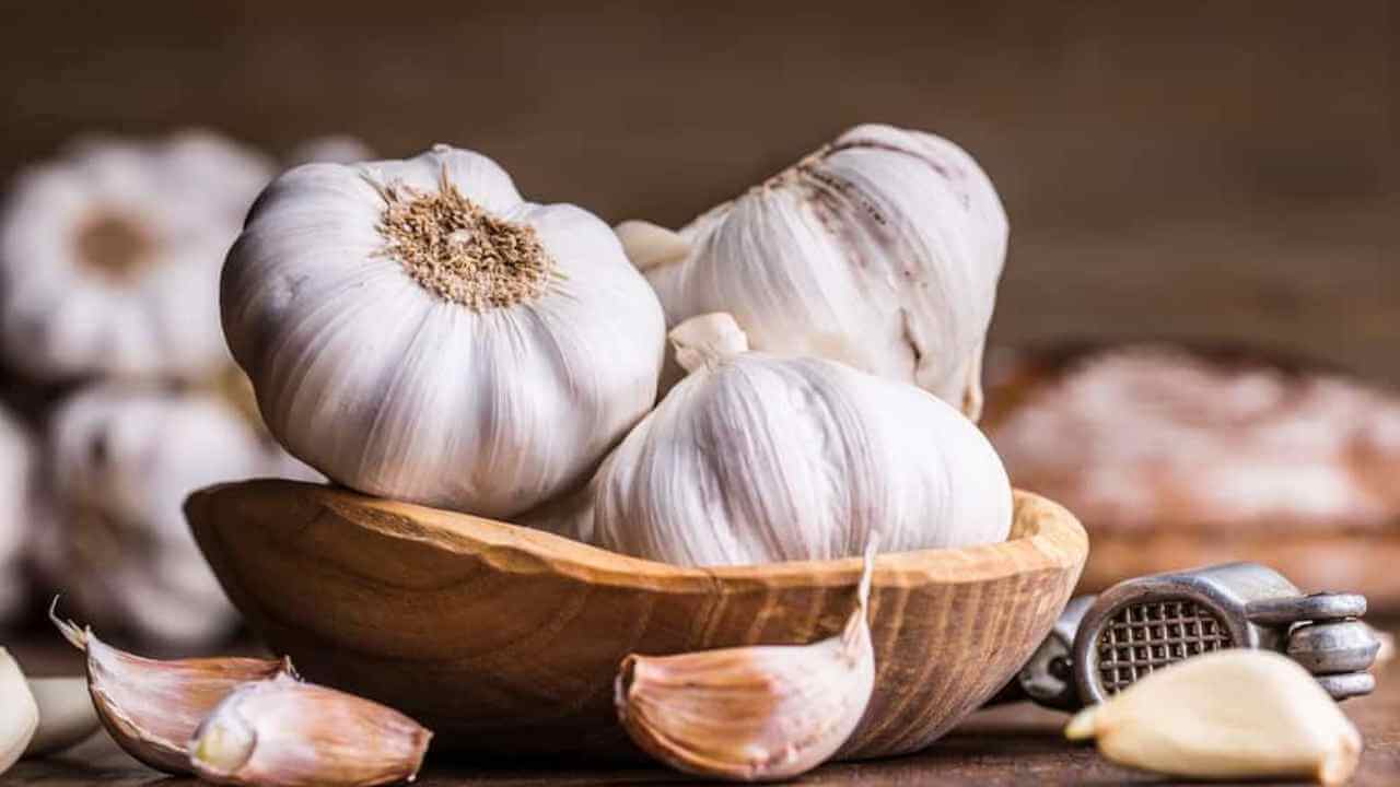 cara-menjaga-kesehatan-kulit-dengan-bawang-putih cara-menjaga-kesehatan-kulit-dengan-bawang-putih