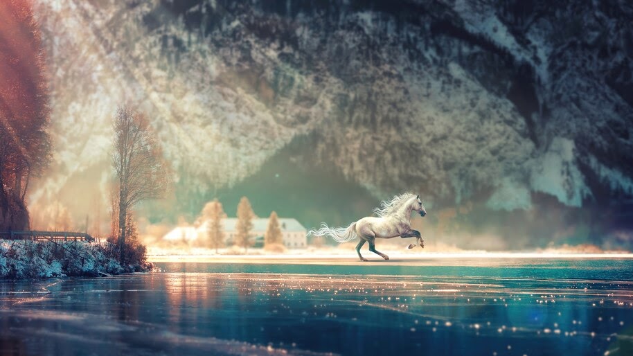 White, Horse, Scenery, 4K, #6.2205