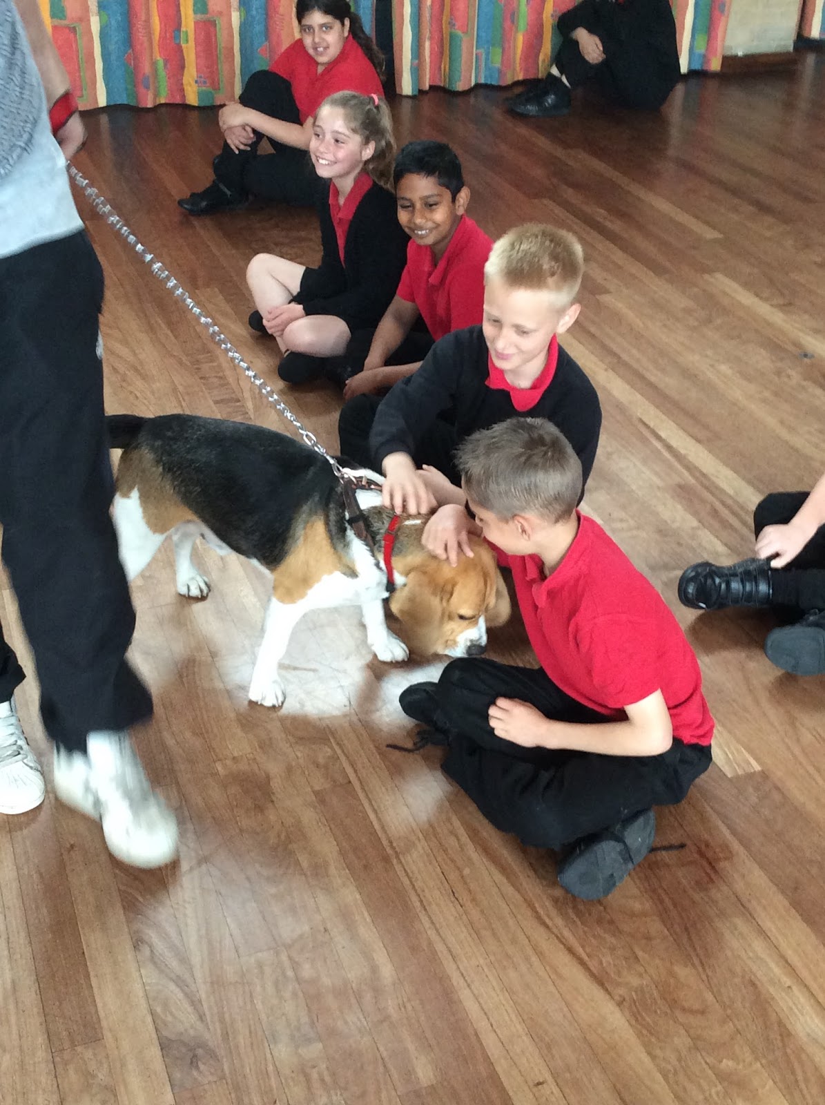 holy-cross-catholic-primary-school-leicester-year-5-and-year-6