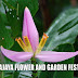 Putrajaya Flower and Garden Festival 2010 Pictures