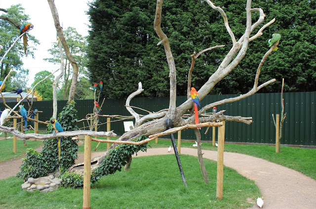Tropical Birdland Leicestershire Review