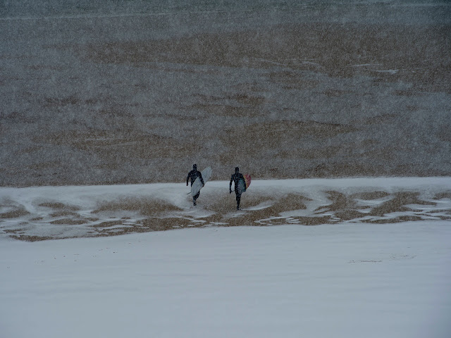 Copyright Surfin Estate ©