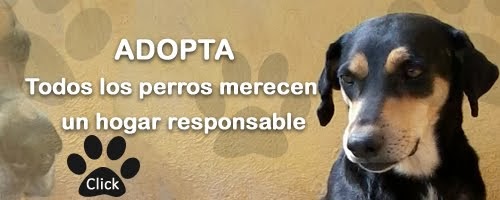 LA ADOPCIÓN