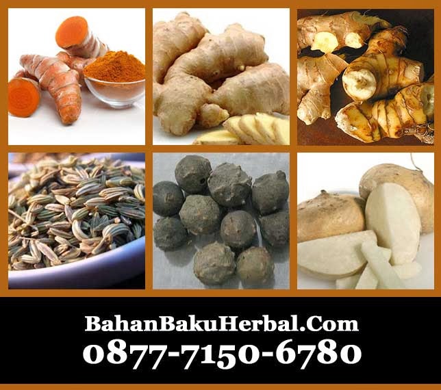 Supplier Bahan Herbal untuk Jamu dan Terapi Spa: Jual Bahan Dasar