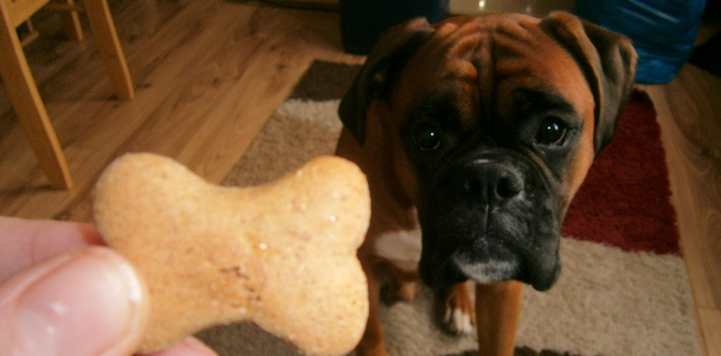 this-is-me-sarah-mum-of-3-wagg-mmm-s-tasty-treats