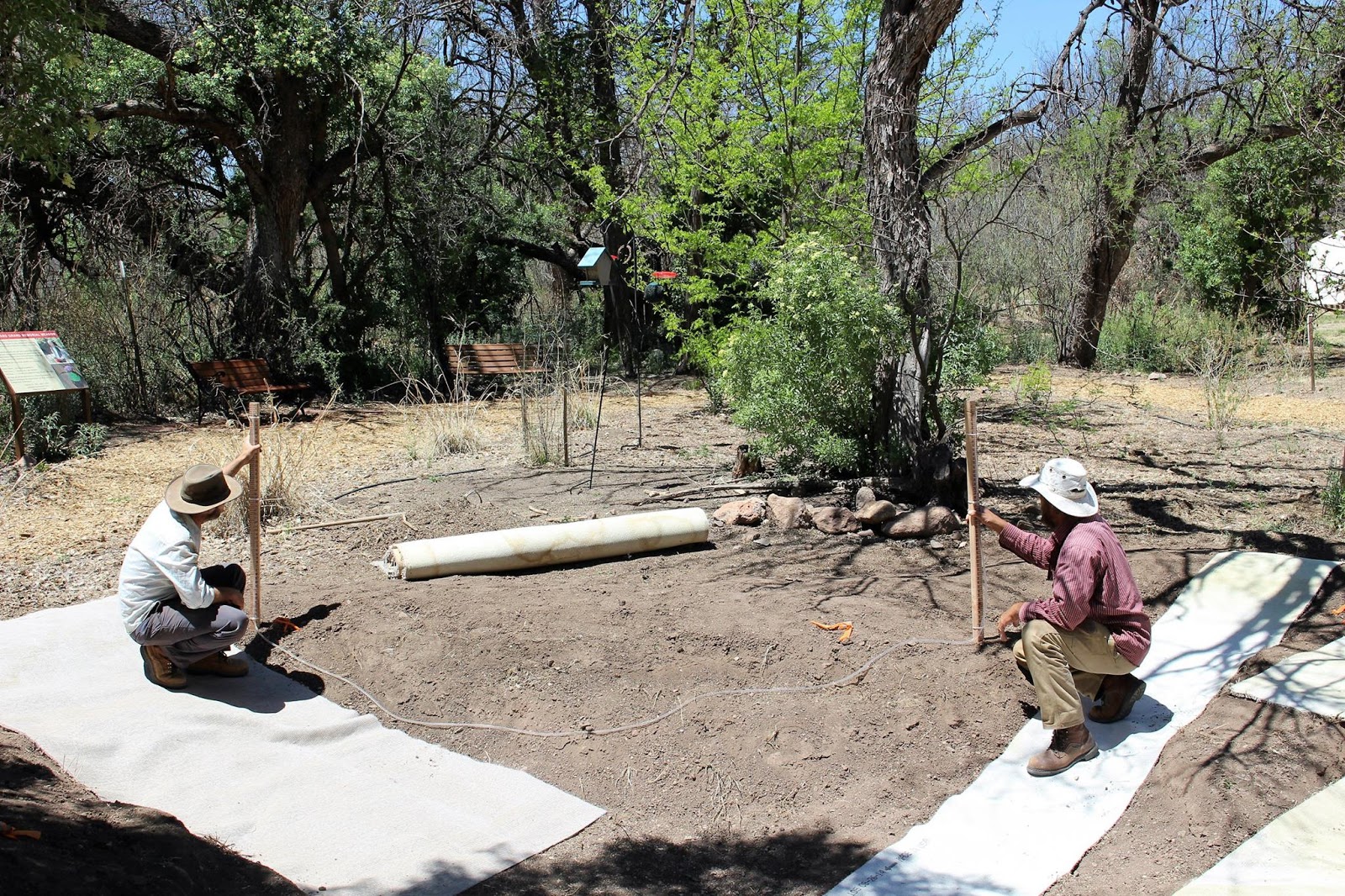 New Paton Center Pond a Big Hit With Birds and Birders!