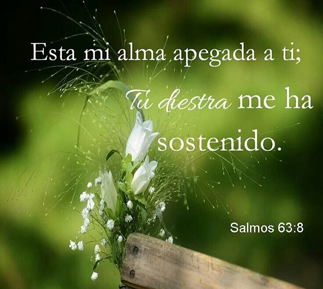 Imagenes religiosas Imagenes religiosas