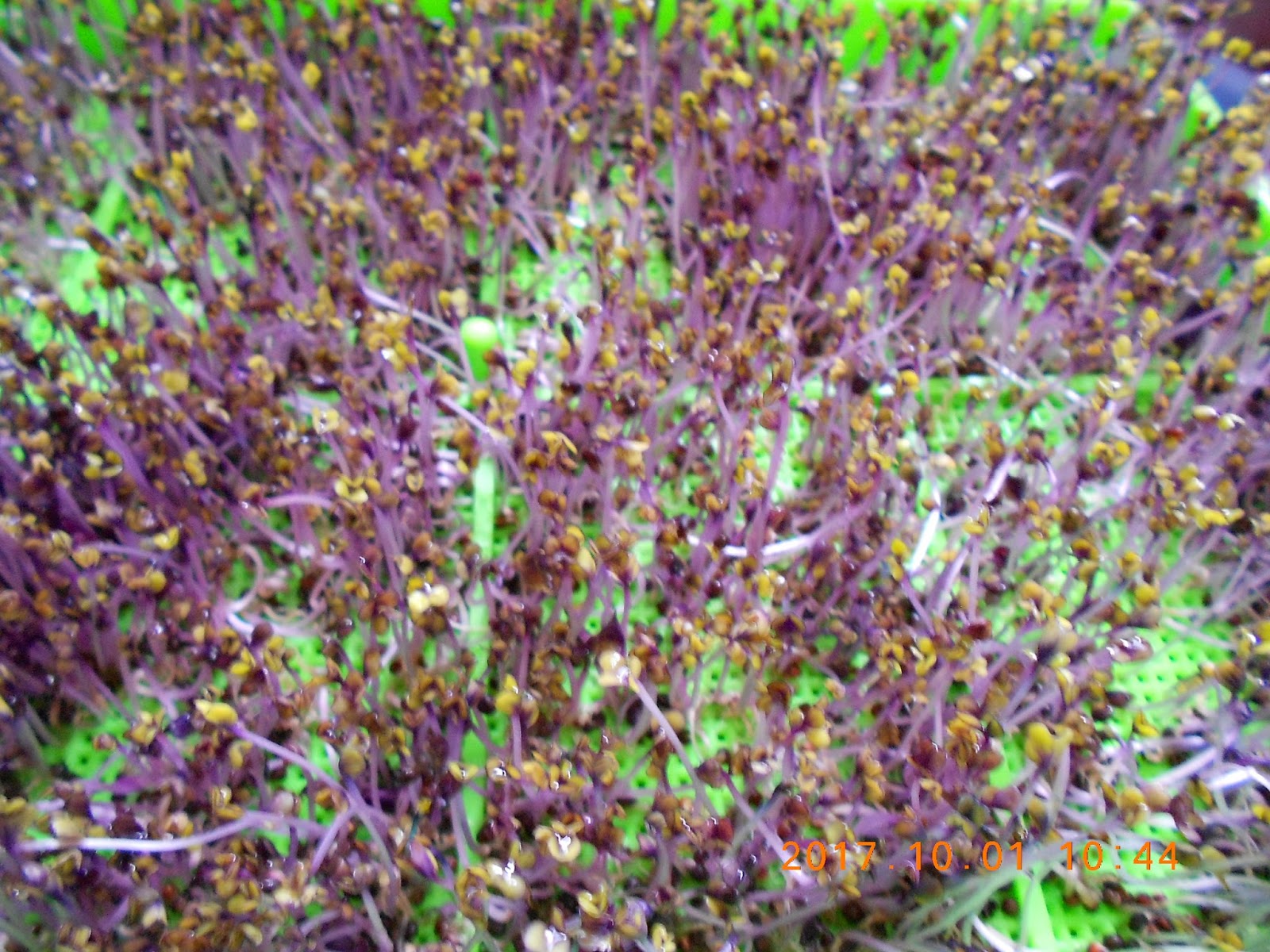 �����R,�����R��,���Ⱚ�R��,������ŵ�,�����R��i,�����R����i,�����ŵ��ܦ�,�����ŵ浵���ߵ�,�����R��