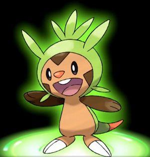 2409665-chespin_large.jpgg