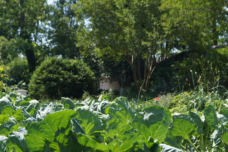 Elm Street Gardens Sparta, GA