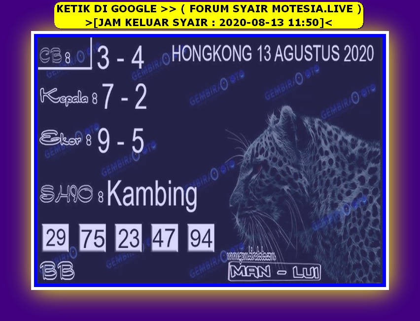 forum syair hk Meloditogel