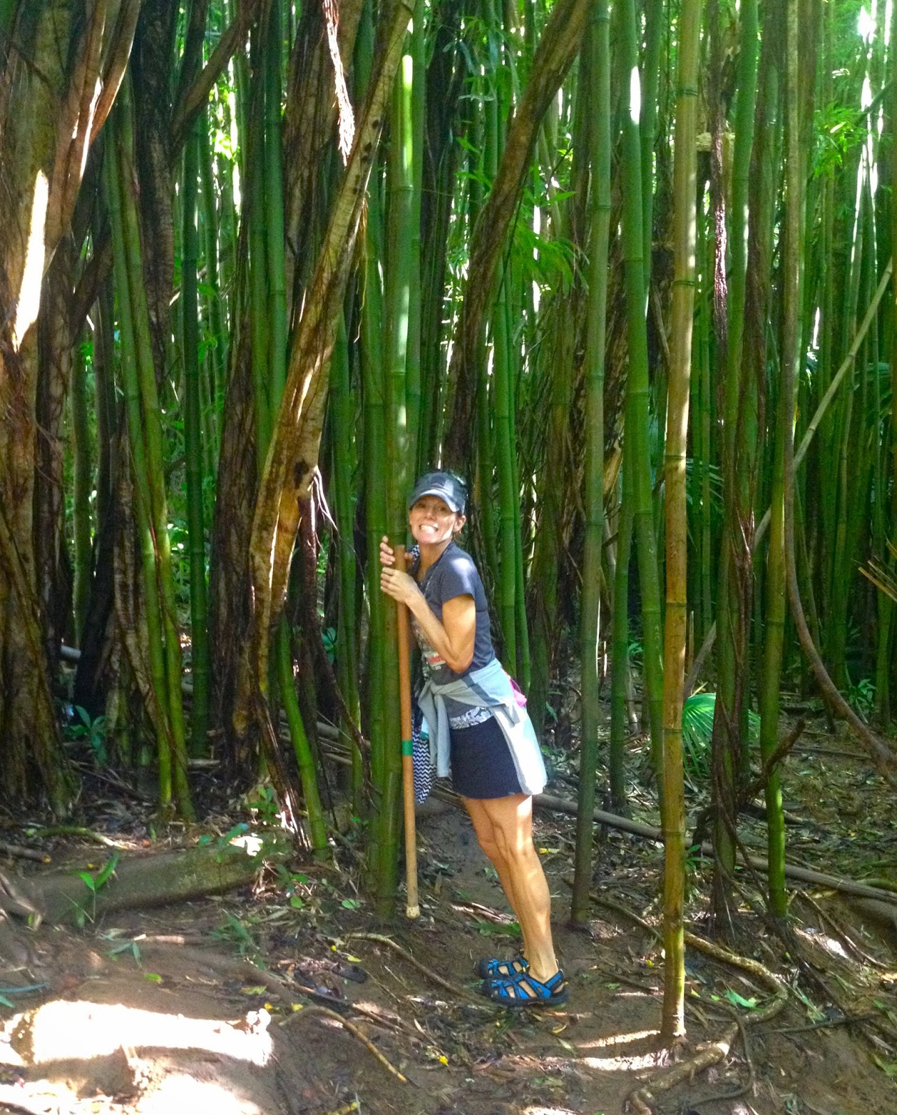Six Pack of Says Manoa Waterfall Hike