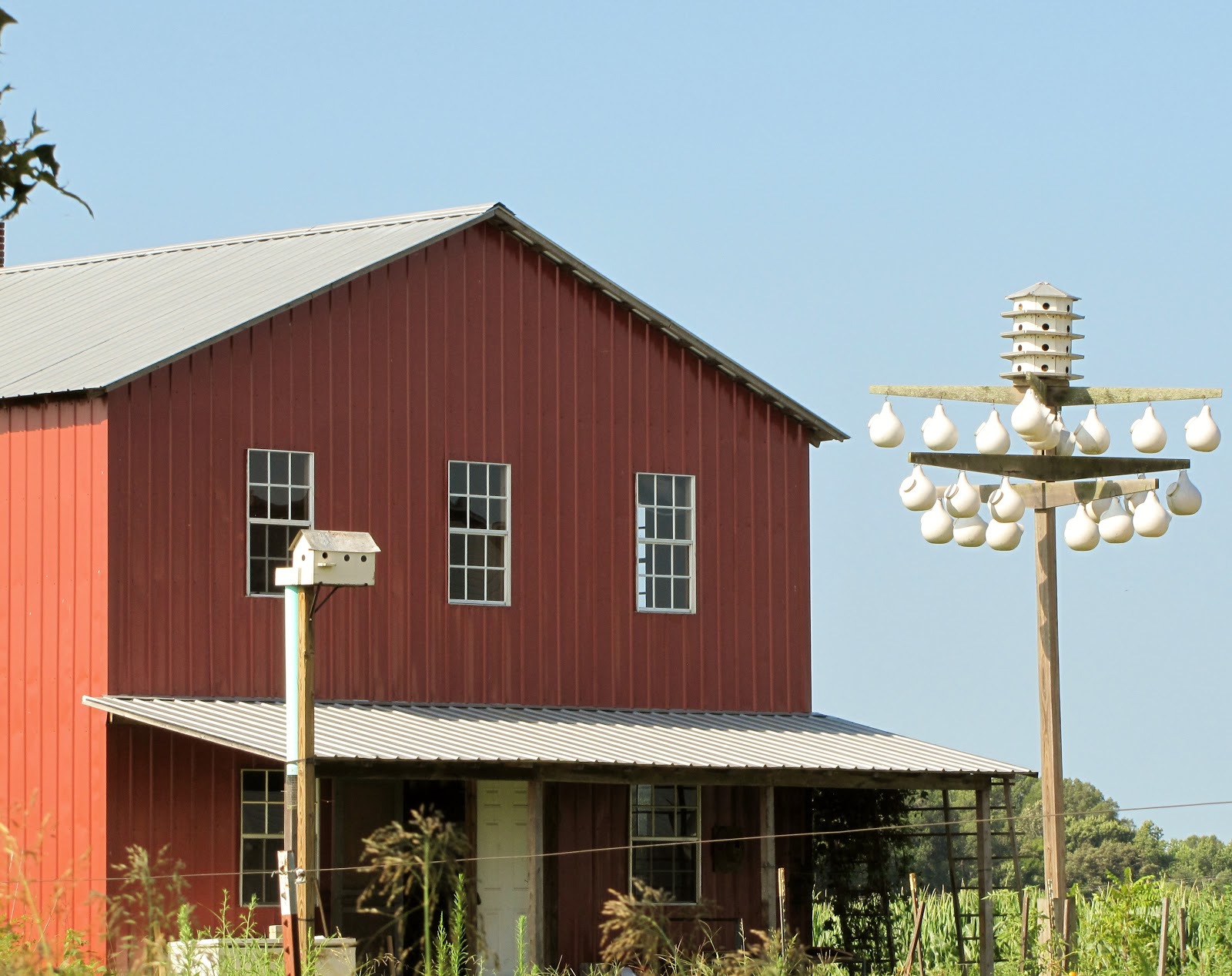 Amish in Stantonville, Tennessee