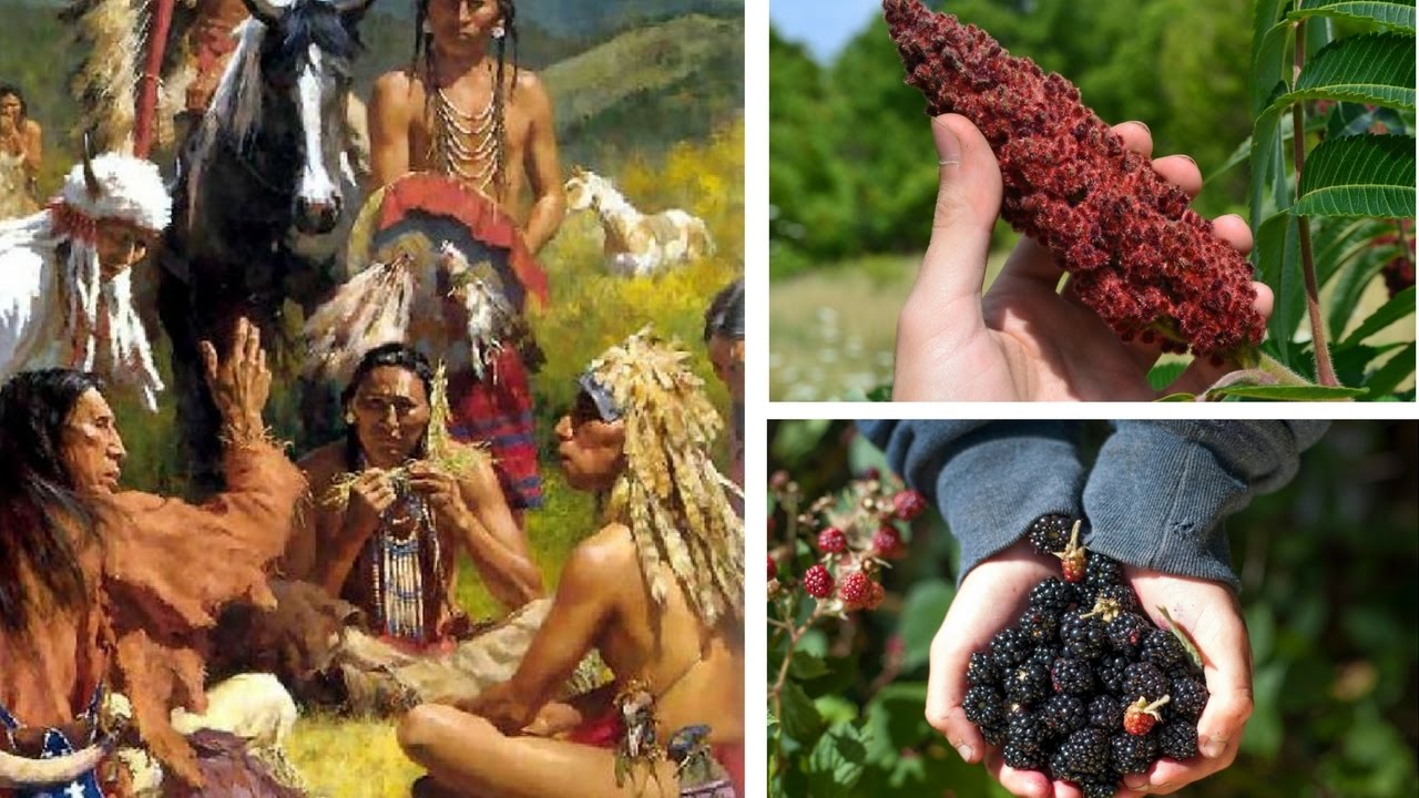 31 Herbal Medicines Used by Native Americans UNITED SPIRITUALITY