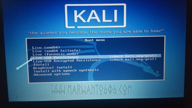 kali linux bootable usb with persistence