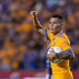 Tigres recuperó a lesionados