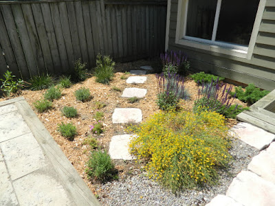 Xeriscape Leslieville garden install after by Paul Jung Gardening Services Toronto