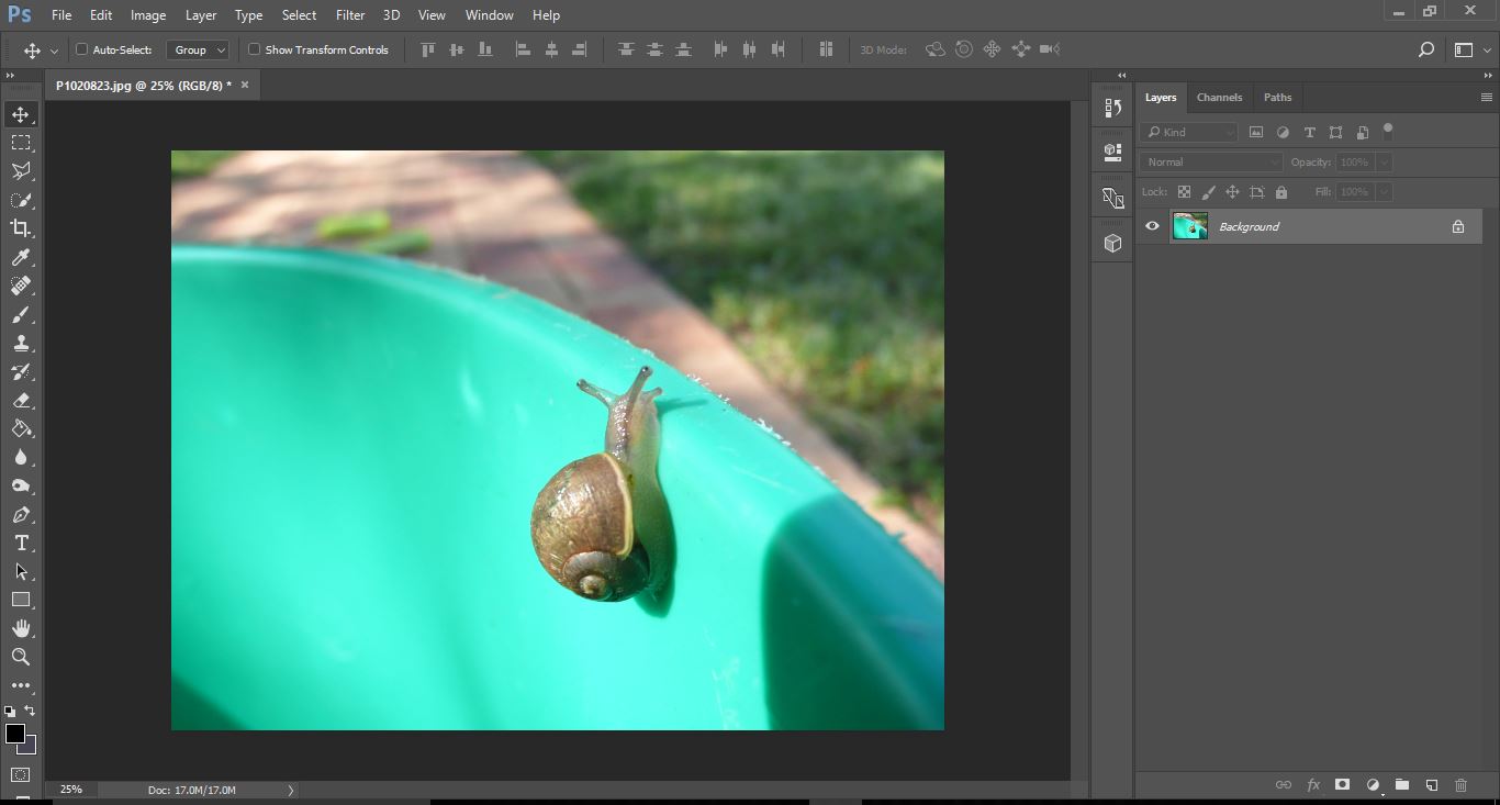 Clone Stamp in (Step by Step) Design Bundles