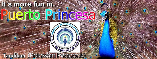 Palawan Peacock Pheasant or Tandikan
