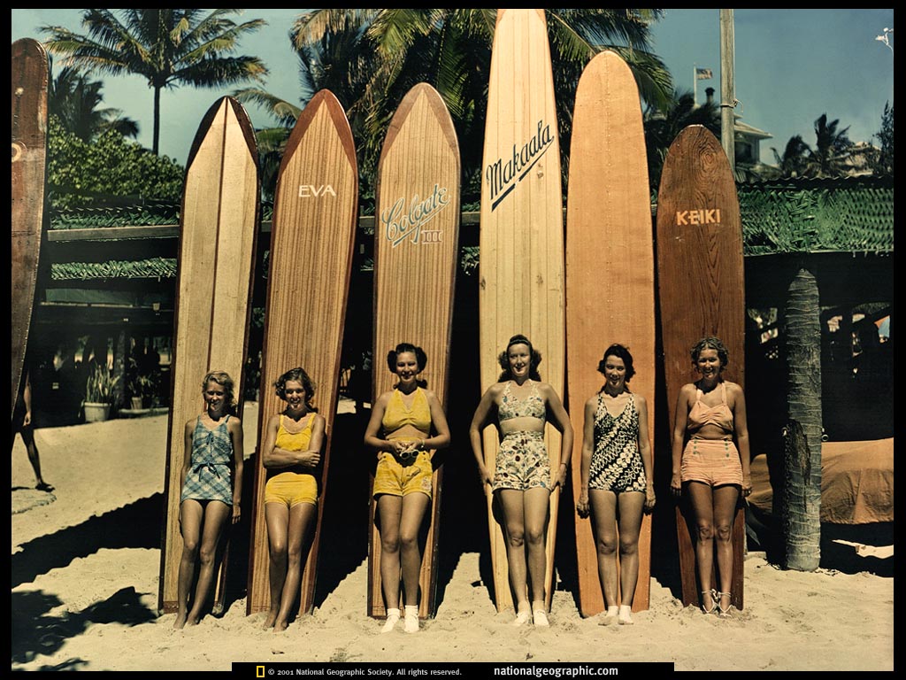 Surf's Arriba! Surfing Culture.