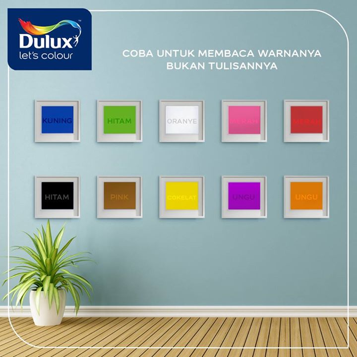 Lets colour. Dulux let&#039;s colour. marshall let&#039;s colour.