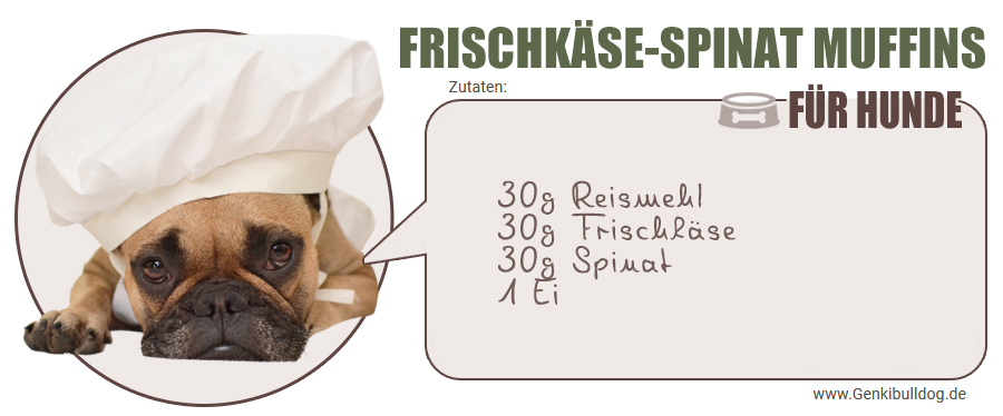 Rezept Frischkäse Spinat Muffins für Hunde Hundemuffins Hundekuchen selbst backen Rezept Frischkäse Spinat Muffins für Hunde Hundemuffins Hundekuchen selbst backen